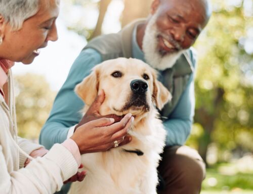 The Benefits of Pet-Friendly Senior Living in Marion, Iowa